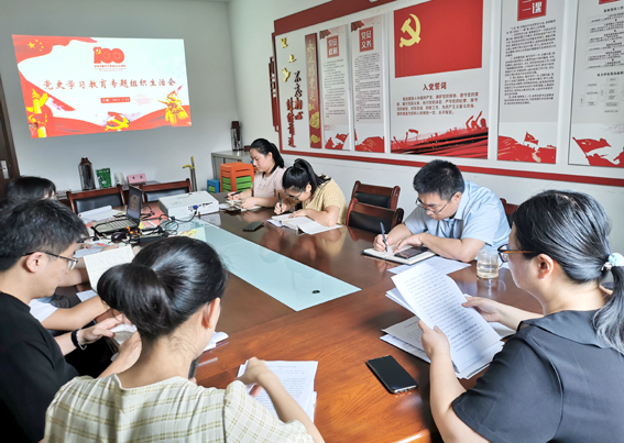 中欧官方端网站登录入口党支部召开党史学习教育专题组织生活会