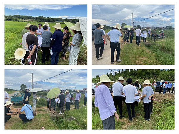 中欧官方端网站登录入口组织召开万安县2022年度统筹整合资金推进高标准农田建设项目初步设计的评审会