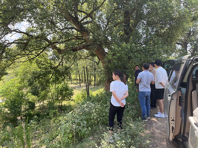 中欧官方端网站登录入口组织召开万安县通津河河流整治工程项目初步设计评审会