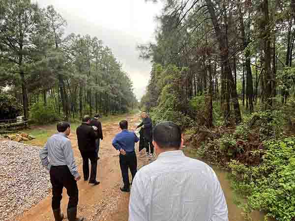 中欧官方端网站登录入口组织开展上饶市重点区域森林防火阻隔系统生物防火林带鄱阳建设项目初步设计评审会